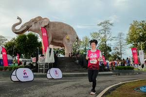 BIB: 
                            <button type="button" onclick="openModal(26529175)" class="btn btn-primary btn-sm float-right btn-popup" data-toggle="modal" data-target=".modal-high-quality">
                        <i class="fas fa-shopping-cart"></i> Add to Cart
                    </button>
                                            <button type="button" onclick="isThisMe(26529175, true)" class="btn btn-success btn-sm float-right btn-popup btn-isme hidden" data-toggle="tooltip" data-placement="bottom" title="นี่คือรูปของคุณใช่ไหม คลิกที่นี่เพื่อเอาเข้าอัลบั้ม">
                        <i class="fas fa-plus"></i> Add to album
                    </button>
                    <button type="button" onclick="isThisMe(26529175, false)" class="btn btn-warning btn-sm float-right btn-popup btn-isnotme hidden">
                        <i class="fas fa-ban"></i> Remove from album
                    </button>